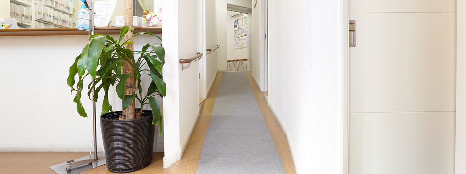 痔の治療