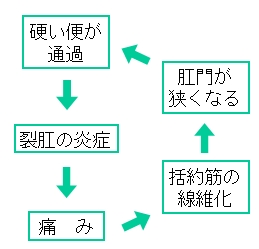 裂肛の悪化サイクル